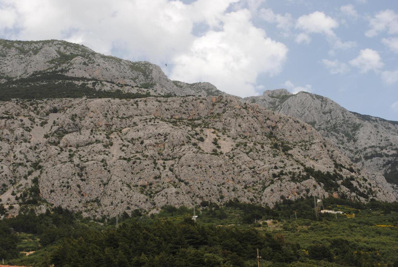 Apartments Natura Makarska Exterior photo