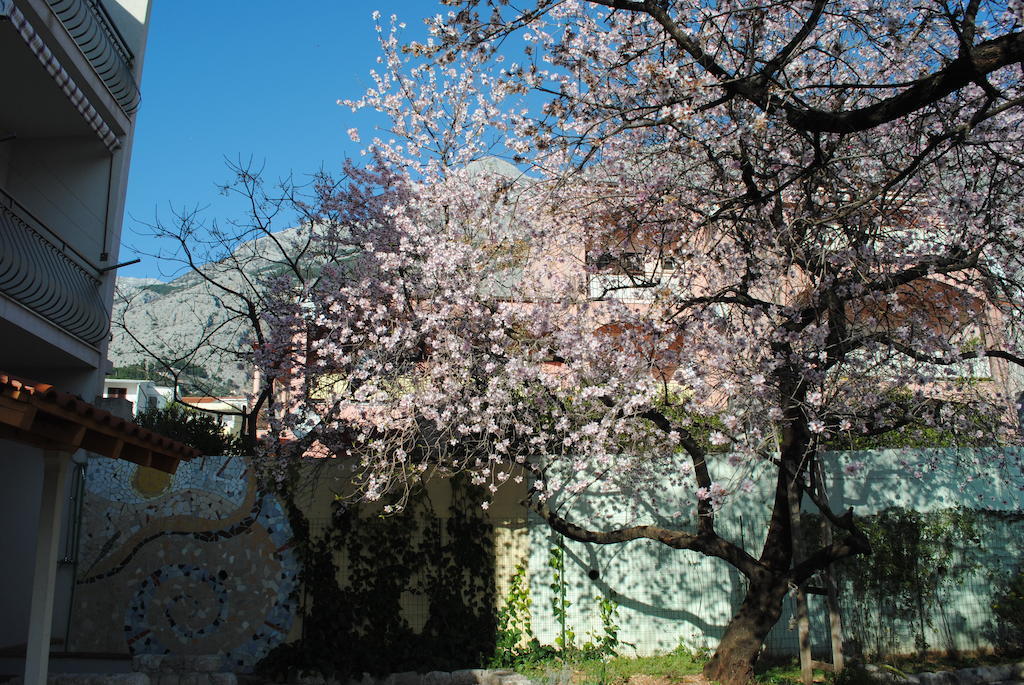 Apartments Natura Makarska Exterior photo